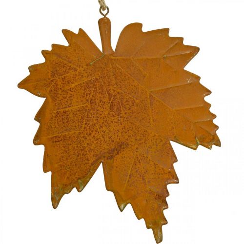 Floristik24 Autumn Decoration Leaves Metal Rust-Look Maple Leaf 6 Pcs