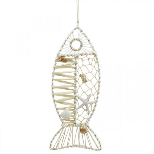 Floristik24 Decorative fish with shell decoration, maritime decoration, fish to hang white 38cm