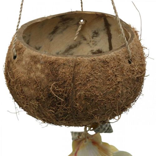 Coconut bowl with shells, natural plant bowl, coconut as a hanging basket Ø13.5/11.5cm, set of 2