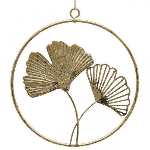 Floristik24 Ginkgo deco gold hanger vintage metal decoration Ø16cm 3pcs