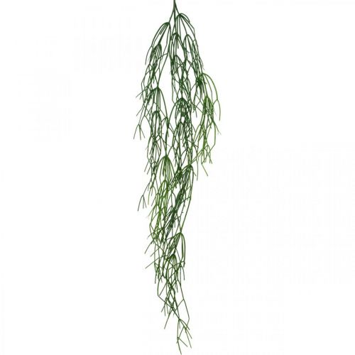 Product Decorative tendrils, coral cactus, artificial Rhipsalis hanger Green L120cm