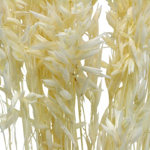 Product Dried Oats Bleached Cereal Decoration 70cm bundle of 100g