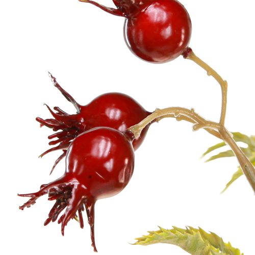 Floristik24 Rosehips artificial decorative branches with 7 fruits dark red 48cm