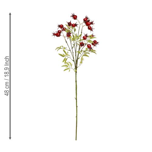 Floristik24 Rosehips artificial decorative branches with 7 fruits dark red 48cm