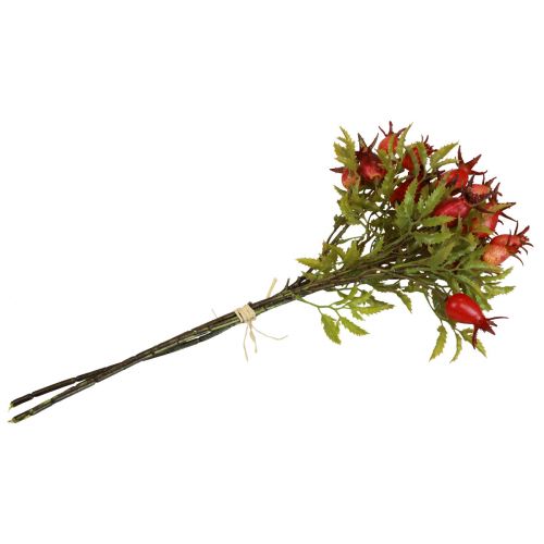 Product Rosehip decoration rosehip branches artificial L48cm 3pcs