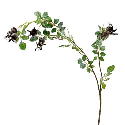 Rose hip branch L92cm with snow