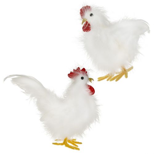 Floristik24 Rooster hen with feathers white 17cm, 21cm 2pcs