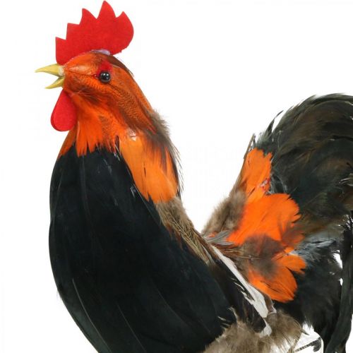 Product Decorative rooster with feathers decorative figure Easter shop window decoration H30cm