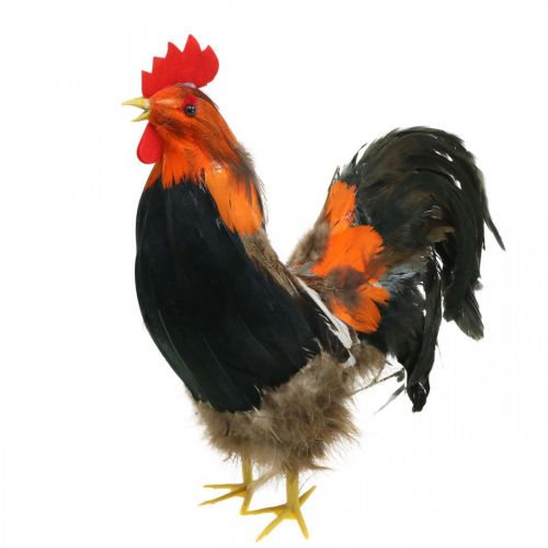 Floristik24 Decorative rooster with feathers decorative figure Easter shop window decoration H30cm
