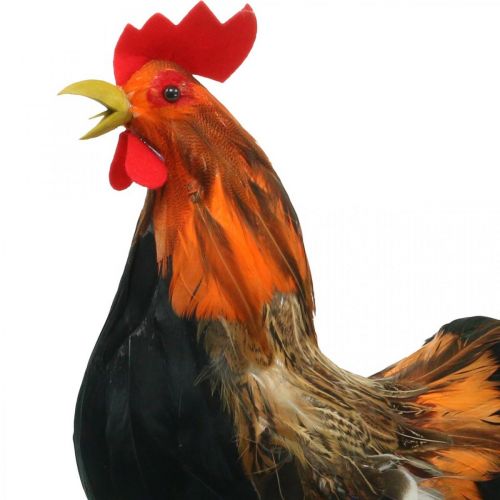 Floristik24 Decorative rooster with feathers Easter decoration figure farm rooster 36cm