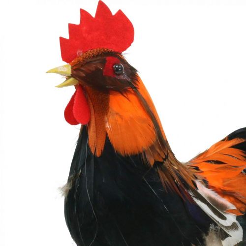 Product Decorative rooster with feathers decorative figure Easter spring decoration 24cm