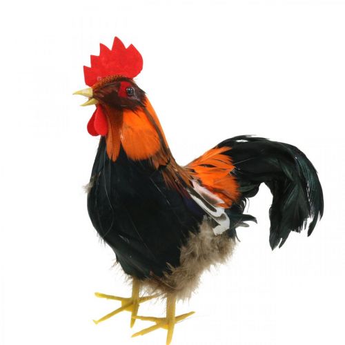 Floristik24 Decorative rooster with feathers decorative figure Easter spring decoration 24cm