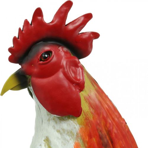 Product Decorative rooster metal colorful garden decoration figure metal decoration 58×13×50cm