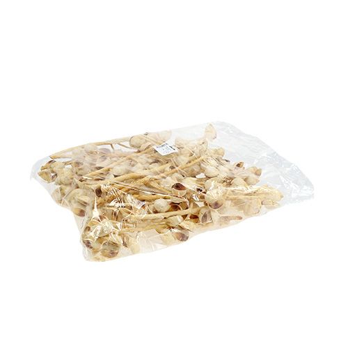 Product Hakea medium 5-9 heads per branch bleached 25 pcs