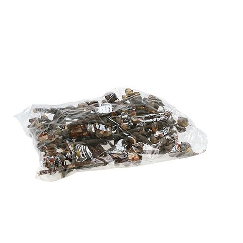 Product Hakea medium natural 5-9 heads per branch 20 pcs
