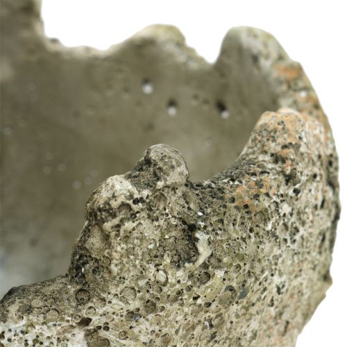Floristik24 Concrete ball for planting Ø15cm H13,5cm