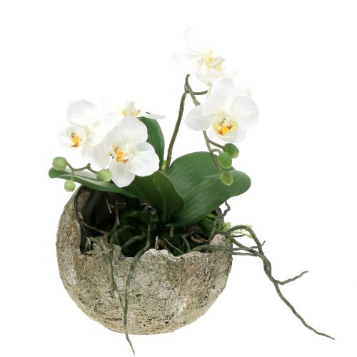 Floristik24 Concrete ball for planting Ø15cm H13,5cm