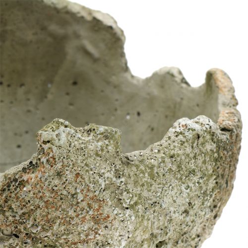 Floristik24 Concrete ball for planting Ø17cm H17,5cm