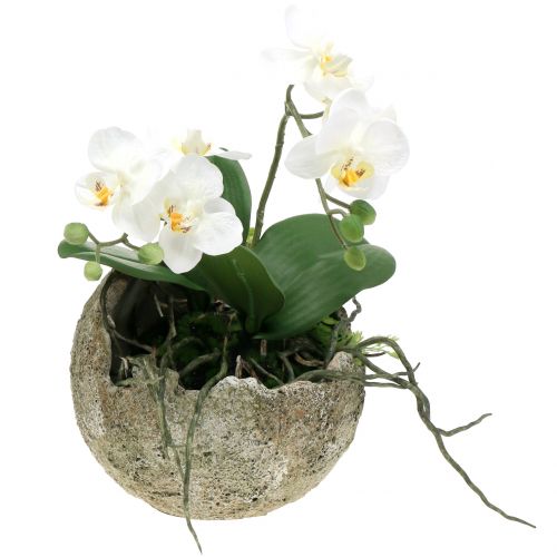 Floristik24 Concrete ball for planting Ø17cm H17,5cm
