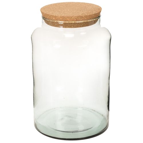Recycled Glass Terrarium Bottle with Cork Lid, 29cm Height, Medium