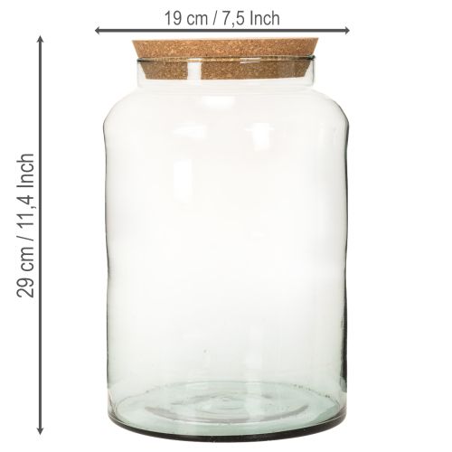 Recycled Glass Terrarium Bottle with Cork Lid, 29cm Height, Medium | Floristik24.co.uk