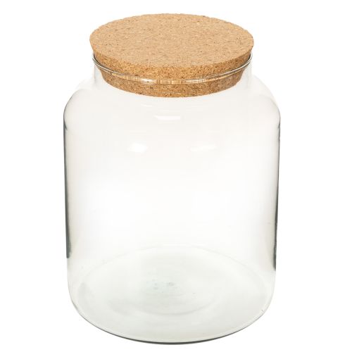 Glass Terrarium Jar with Cork Lid 24cm Recycled Material
