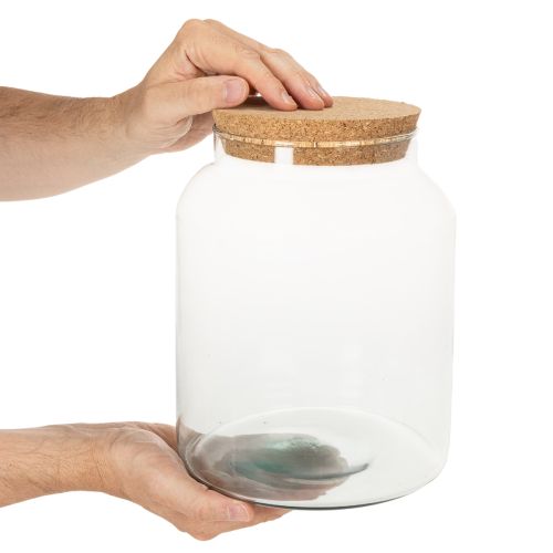 Glass Terrarium Jar with Cork Lid 24cm Recycled Material | Floristik24.co.uk