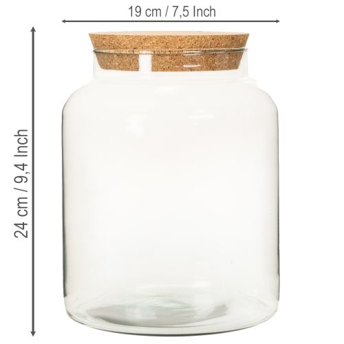 Glass Terrarium Jar with Cork Lid 24cm Recycled Material | Floristik24.co.uk