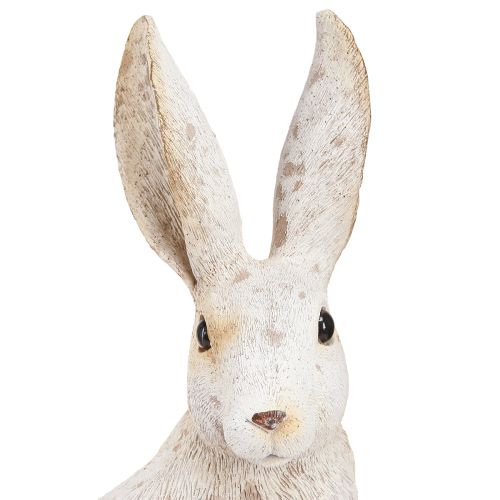 Floristik24 Rabbit Sitting Easter Bunny Easter Decoration Shabby Chic 16×13×35cm