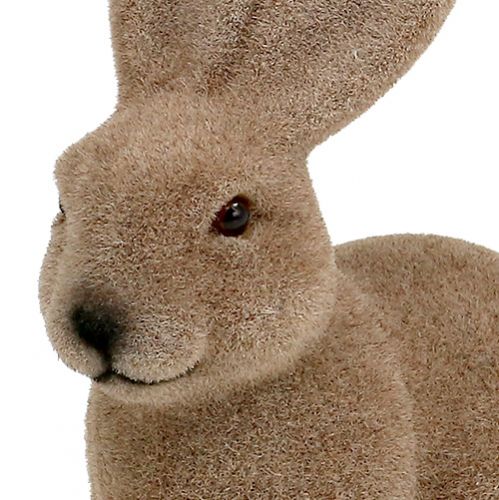 Floristik24 Rabbit flocked brown 15.5cm 4pcs