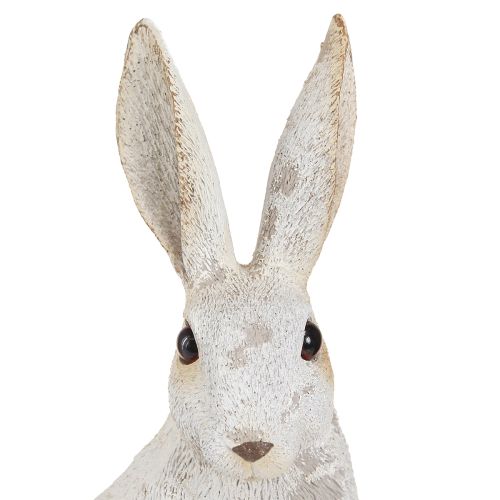 Floristik24 Decorative Rabbit Sitting Figure Easter Bunny Shabby Chic 12×9×25cm