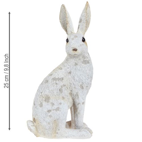 Floristik24 Decorative Rabbit Sitting Figure Easter Bunny Shabby Chic 12×9×25cm