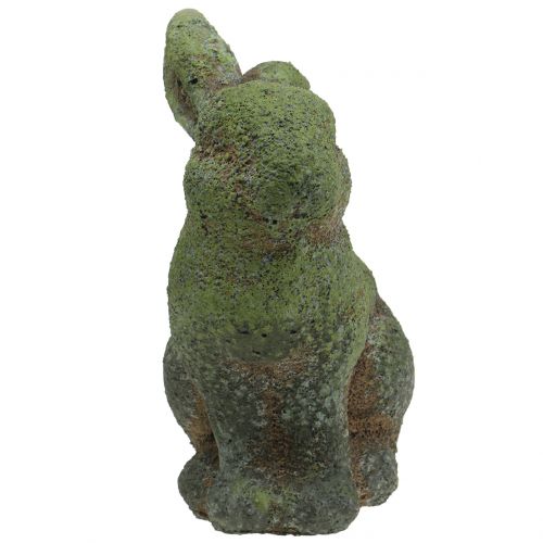 Floristik24 Garden figurine rabbit mossed 20cm x 13cm H25cm
