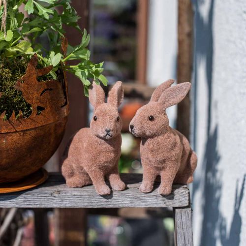 Product Rabbit flocked brown 11cm, 13.5cm 6 pcs