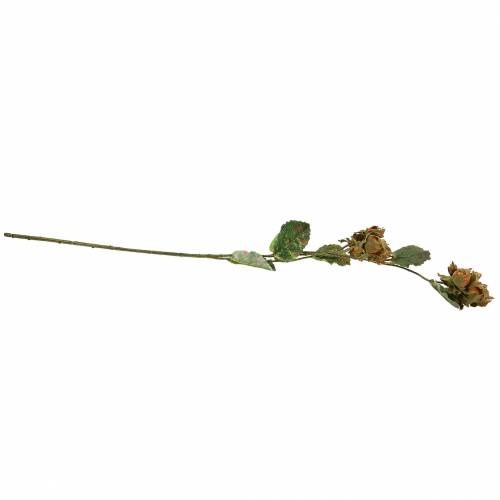 Floristik24 Hazelnut branch green / brown 84cm