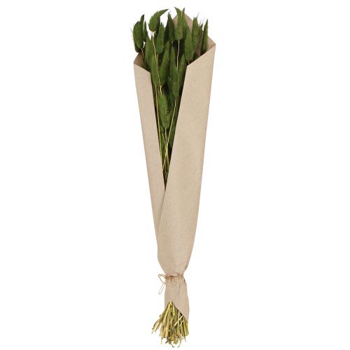 Product Hare's Tail Grass Lagurus Dried Green 50-60cm 50g