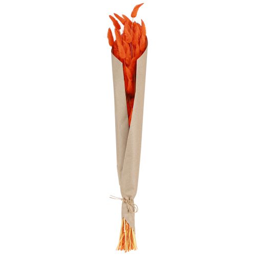 Product Hare's Tail Grass Lagurus Dried Orange 50-60cm 50g