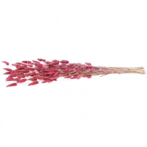 Product Rabbit Tail Grass Lagurus Dried Old Pink 60cm 50g