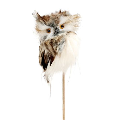 Floristik24 Autumn plug owl 13cm L50cm