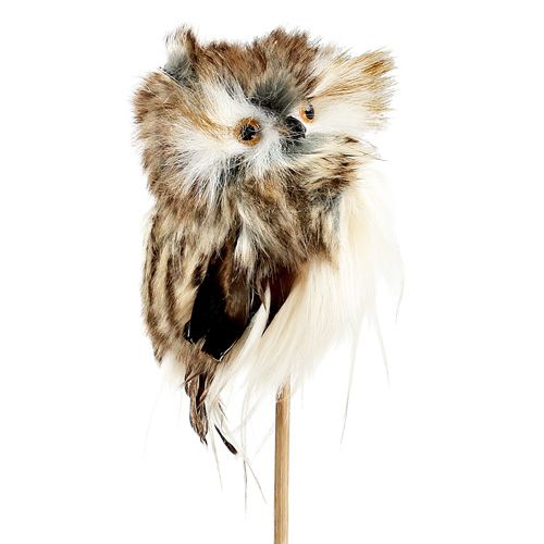 Floristik24 Autumn plug owl 13cm L50cm