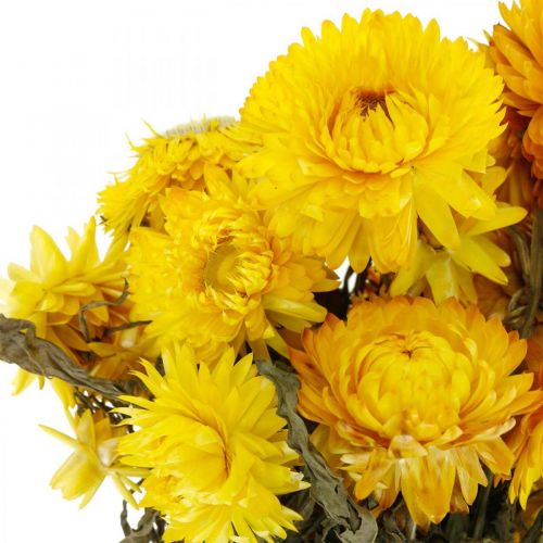 Product Strawflower yellow dried dried flowers decorative bunch 75g