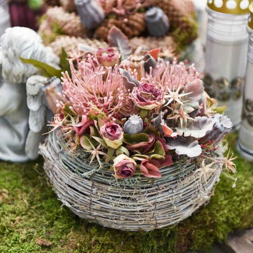 Floristik24 Autumn flower pincushion artificial Protea Rosa Leucospermum 73cm 3pcs