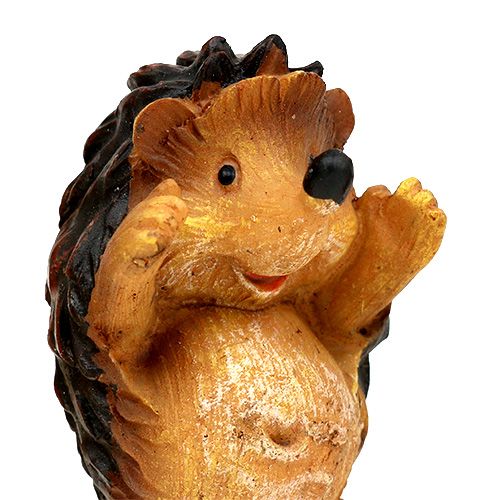 Floristik24 Autumn decoration hedgehog mix 6cm brown 6pcs