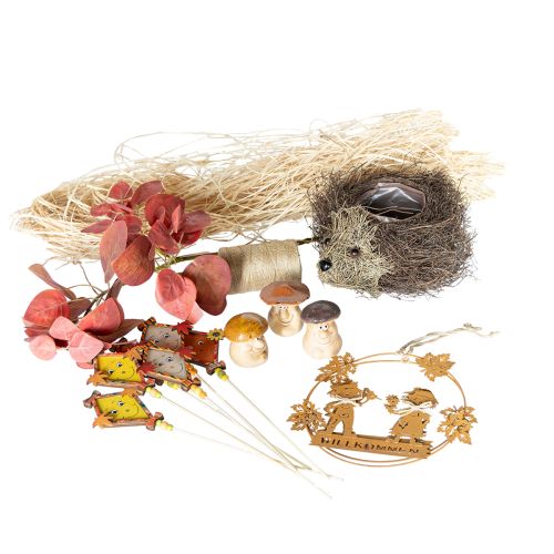 Autumn decoration set hedgehog mushrooms dragon – buy decoration box cheap