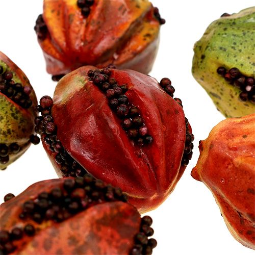 Floristik24 Autumn fruits 3.5cm red, brown 24 pcs
