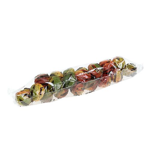 Floristik24 Autumn fruits 3.5cm red, brown 24 pcs