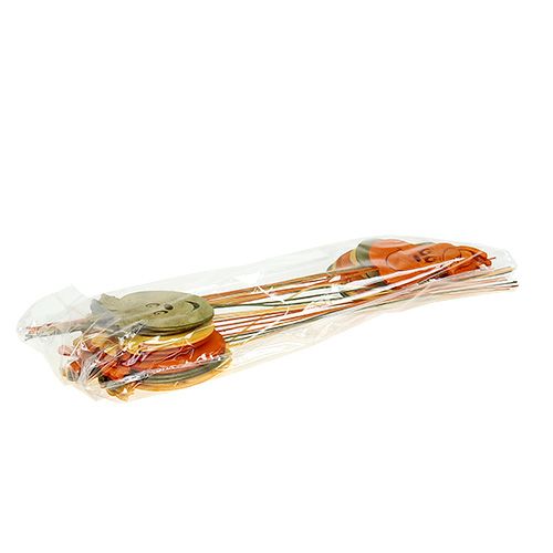 Floristik24 Autumn plug apple, pear mixed assort. L33cm 12pcs