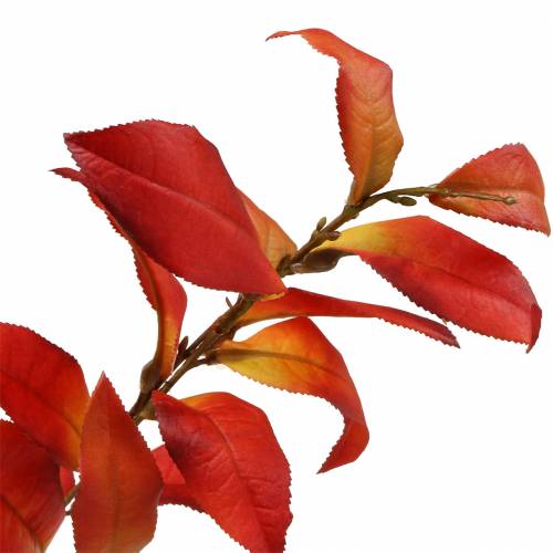 Floristik24 Autumn branch 72cm