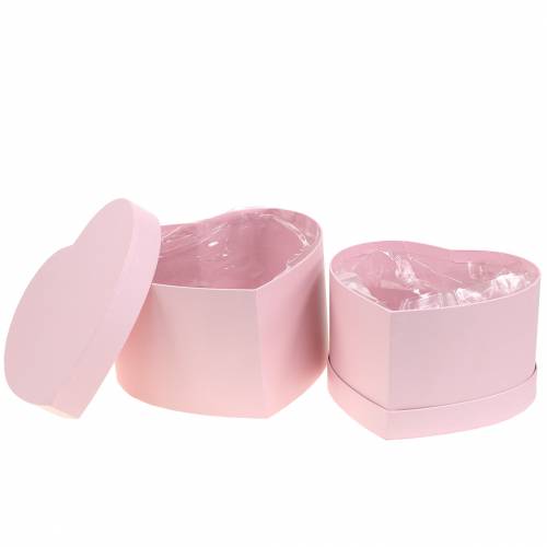 Floristik24 Flower box heart pink Ø18/20cm set of 2