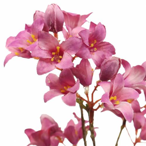 Floristik24 Purple Bells Heuchera Deco Branch Pink 44cm